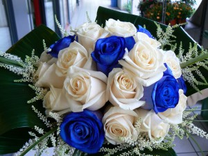 rose bianco blu