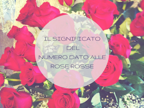 Il significato del numero dato alle rose rosse.