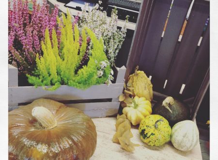 Halloween e fiori Halloween e fiori