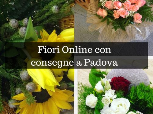 Fiori Online con consegne a Padova