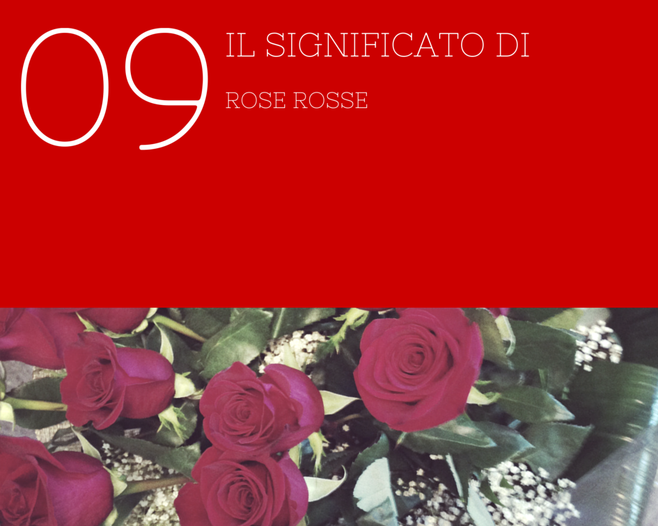 Rose rosse: numero e significato