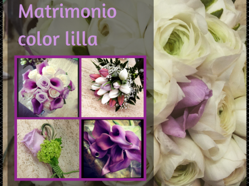 Matrimonio color lilla