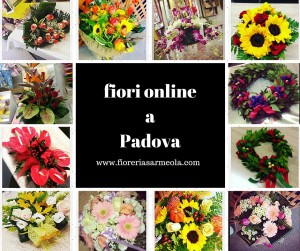 Fiori online a Padova
