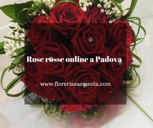 Rose rosse online a Padova