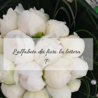 L'alfabeto dei fiori la lettera P