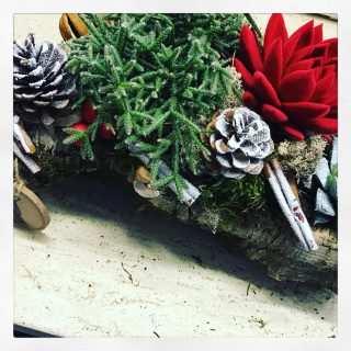 composizioni Natale con sughero pino e succulente